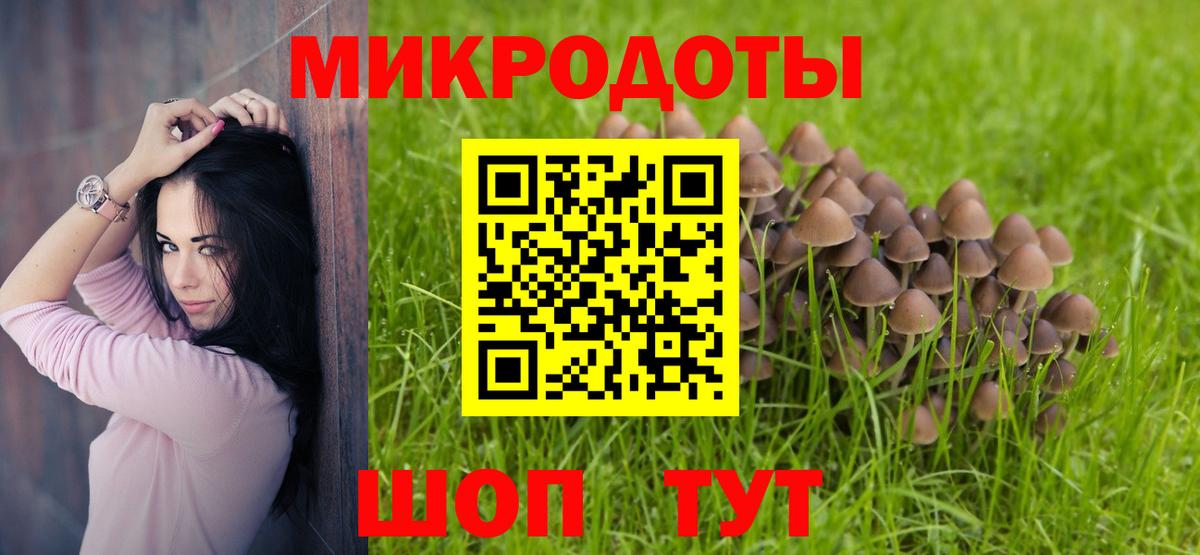 Псилоцибиновые грибы GOLDEN TEACHER  Вход с VPN  Грозный 